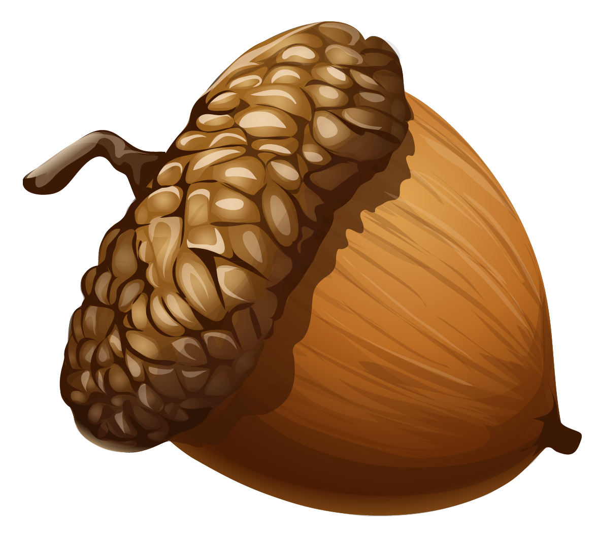 nuts clipart raw
