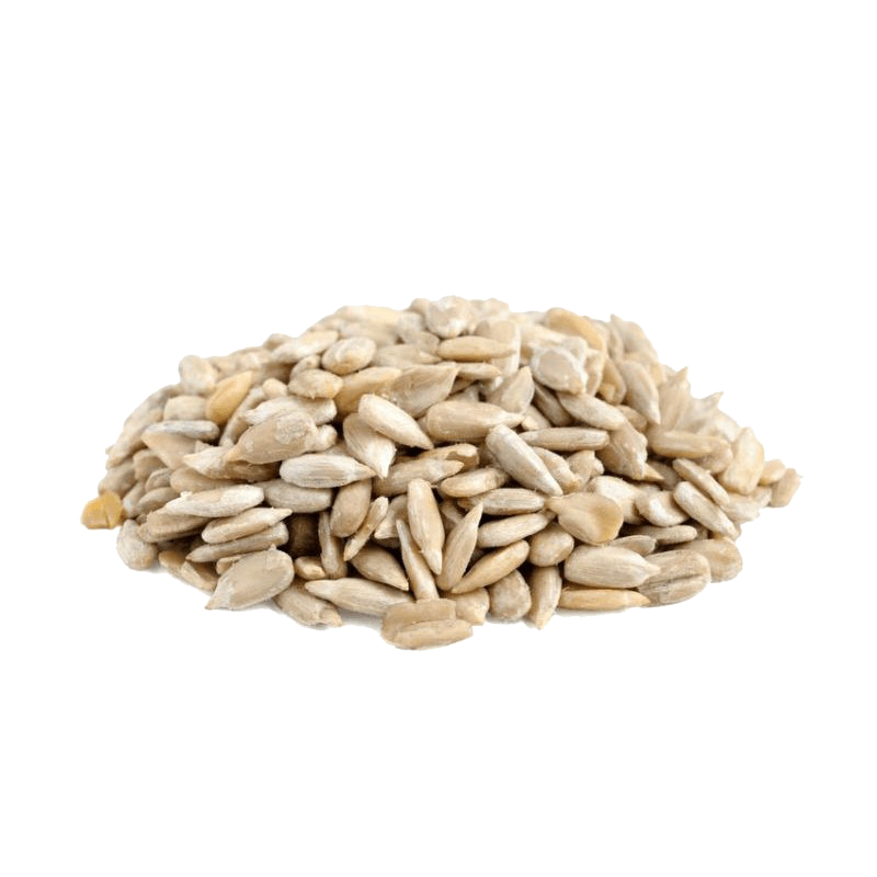 Nuts clipart oil seed. 