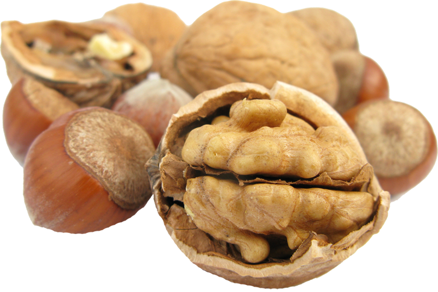 Nut clipart peanut plant. Index of img custom