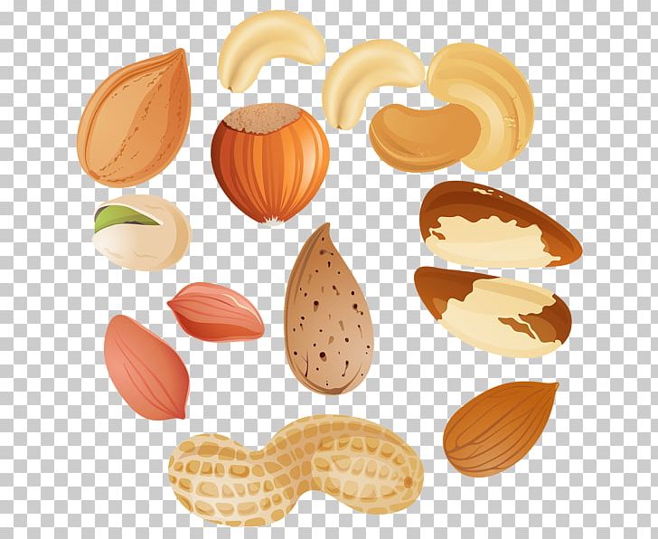 nuts clipart penuts