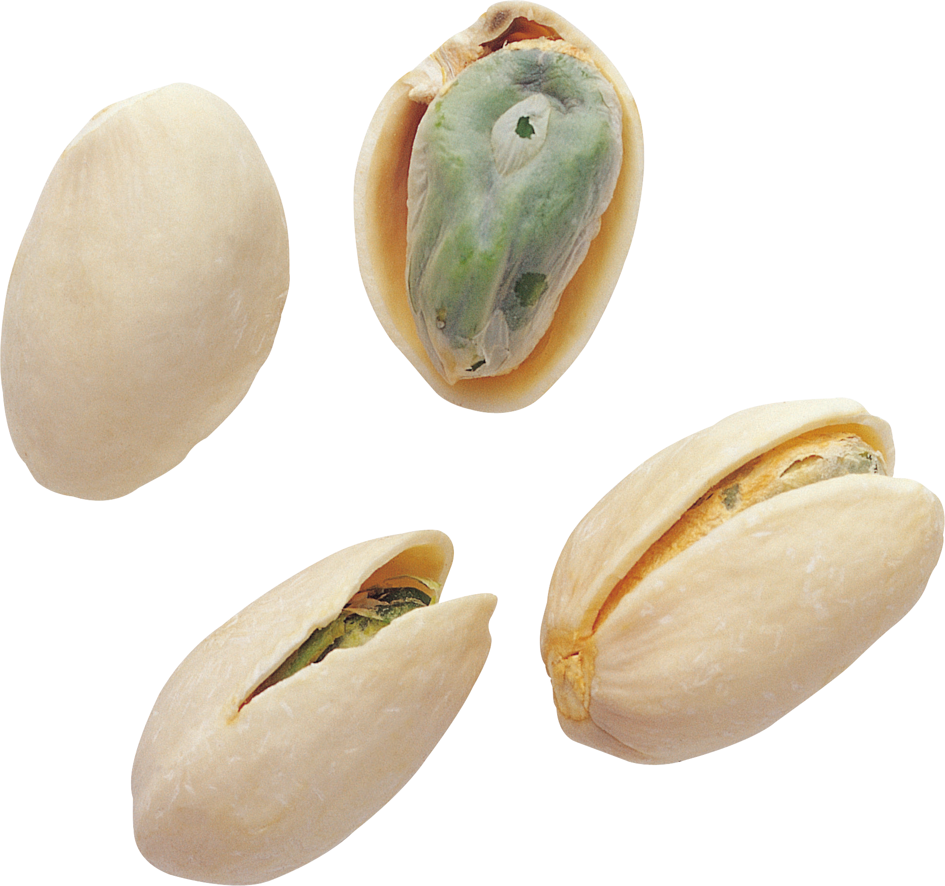 nut clipart pistachio nut