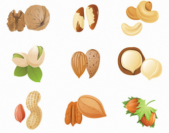 Free cliparts no download. Nuts clipart tree nut