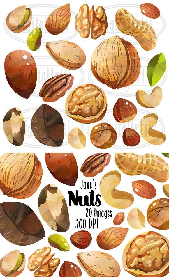 nuts clipart healthy