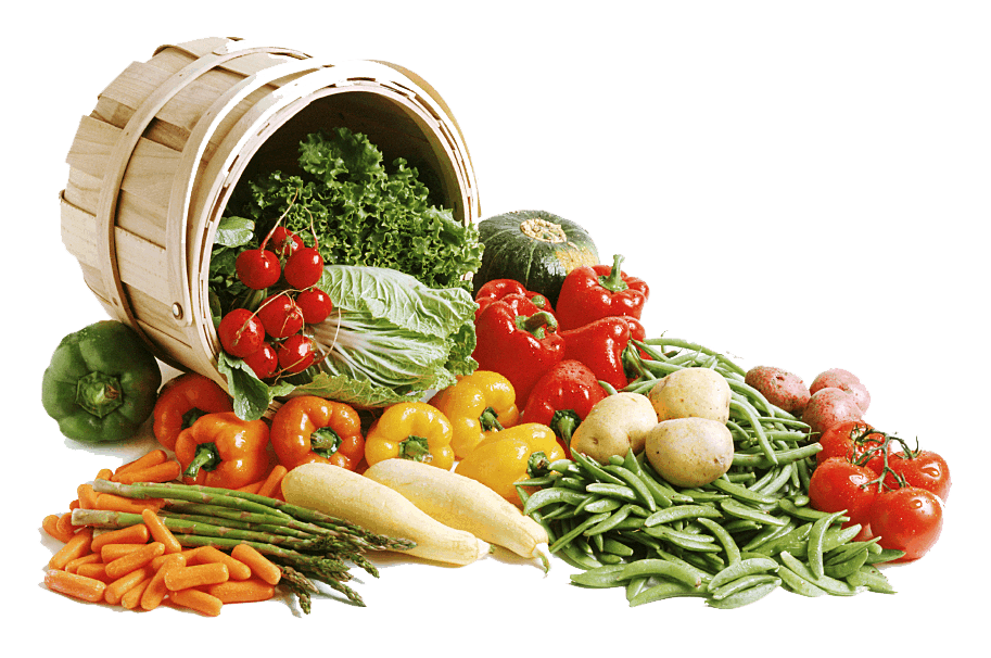 nutrition clipart background