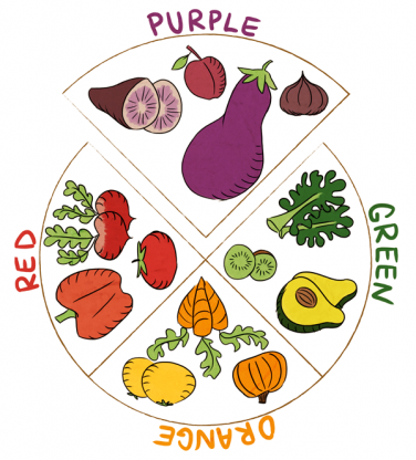 nutrition clipart colorful plate