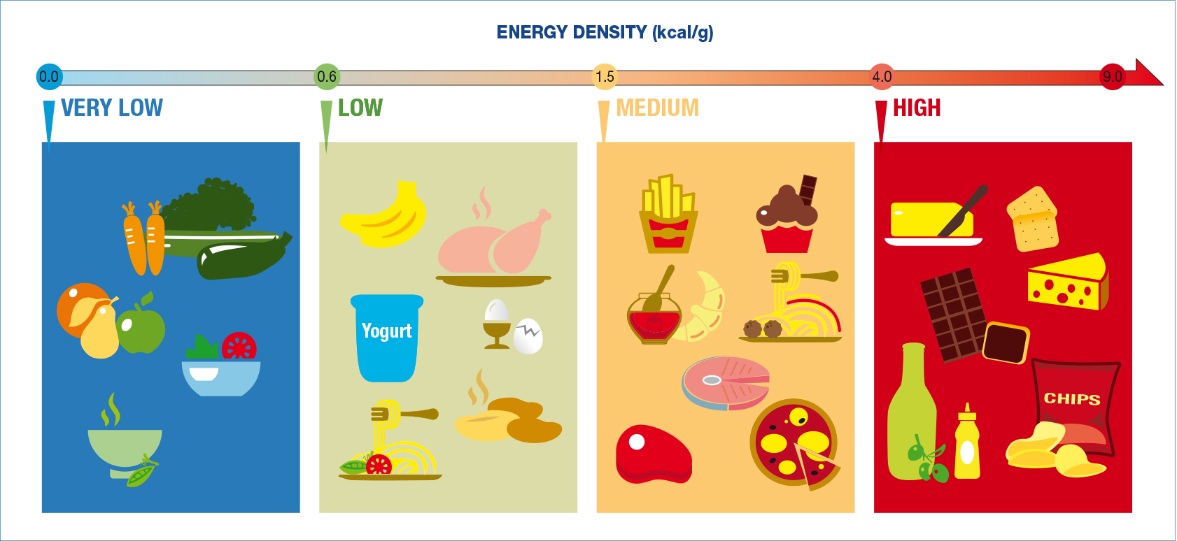 Role of protein and. Nutrition clipart food energy