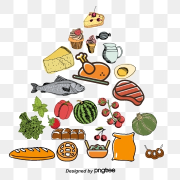 nutrition clipart nutrition pyramid