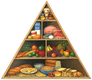 nutrition clipart nutrition pyramid