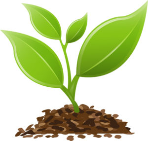 Nutrition clipart plant nutrient. Fertilizer for edmonton horticultural