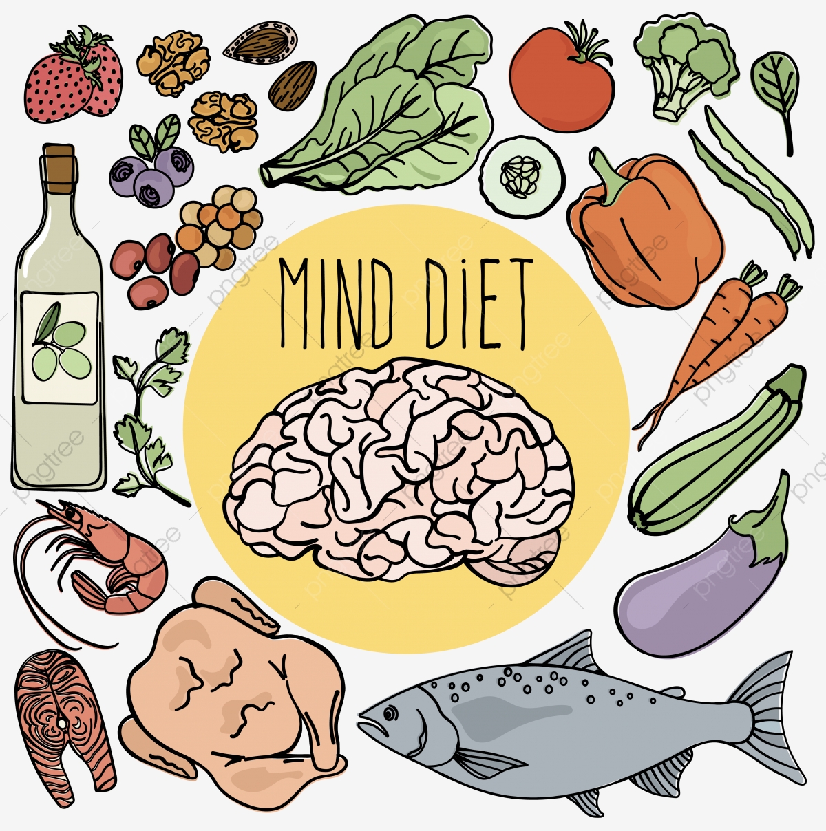 Nutrition clipart proper nutrition. Healthy brain mind diet