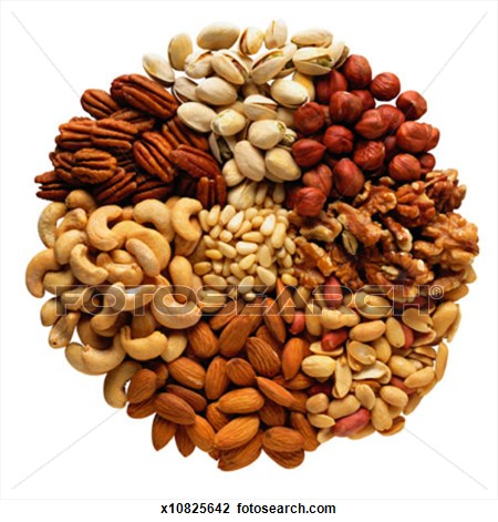 nuts clipart