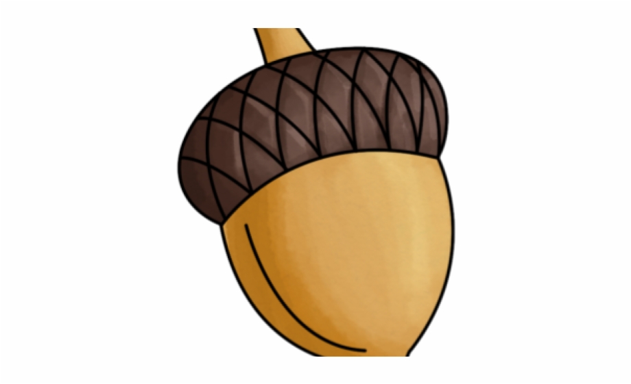 Transparent png download for. Nuts clipart acorn