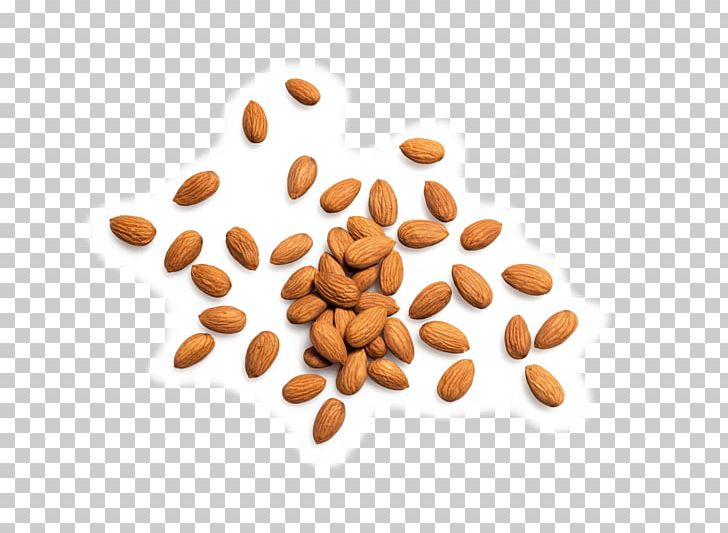 nuts clipart antioxidant