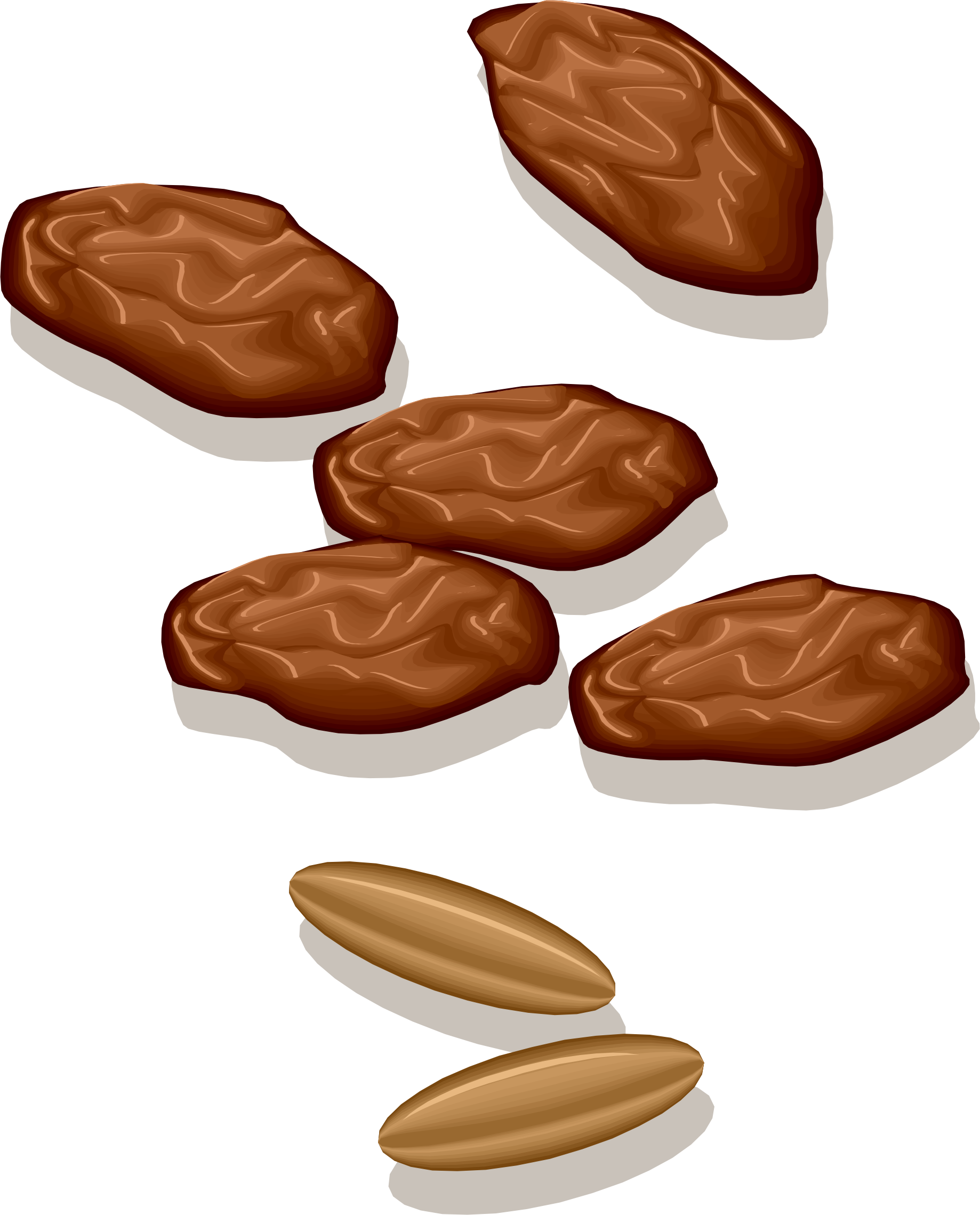 nuts clipart bean