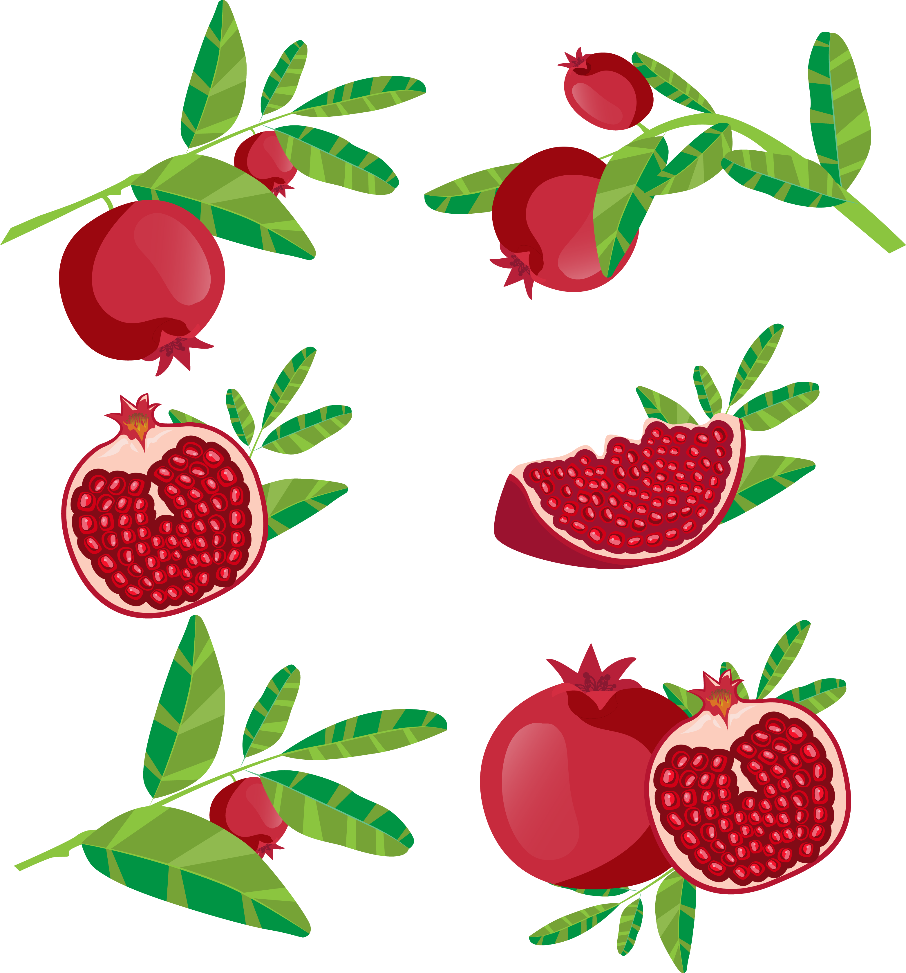 Juice fruit icon red. Pomegranate clipart branch