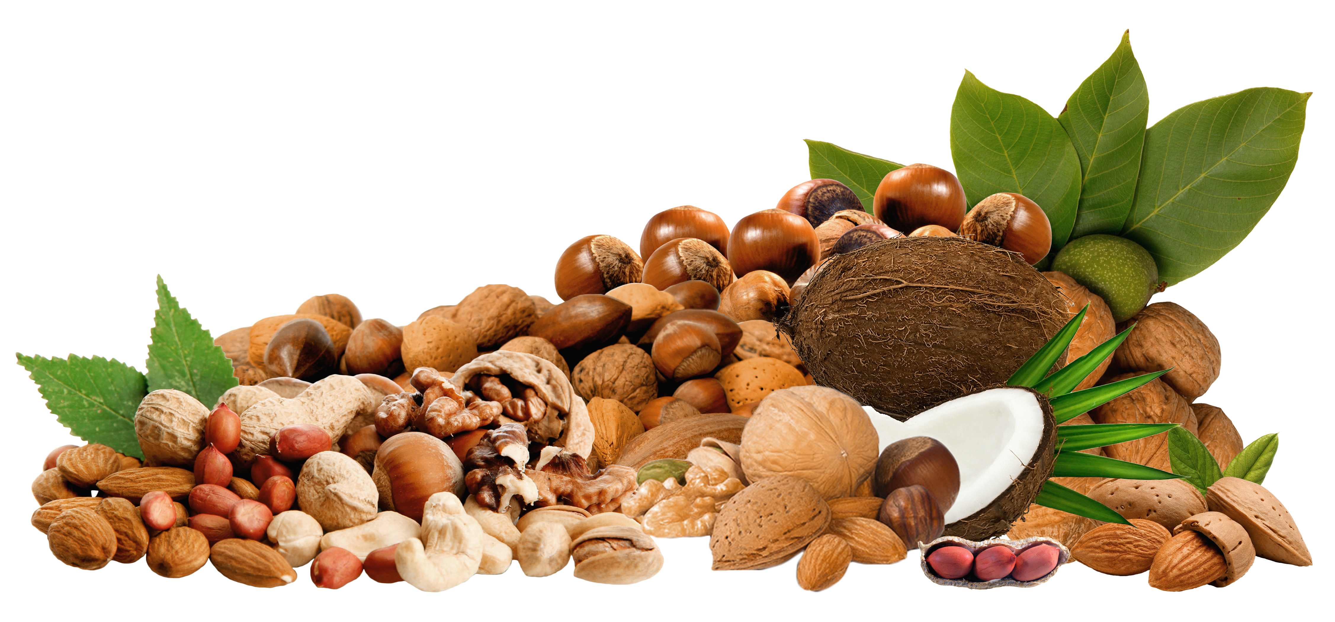 nuts clipart christmas