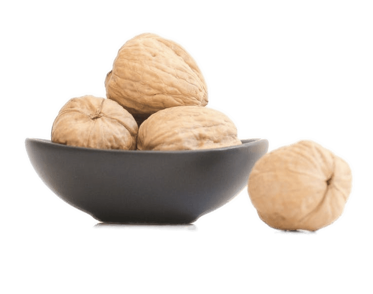 nuts clipart diet