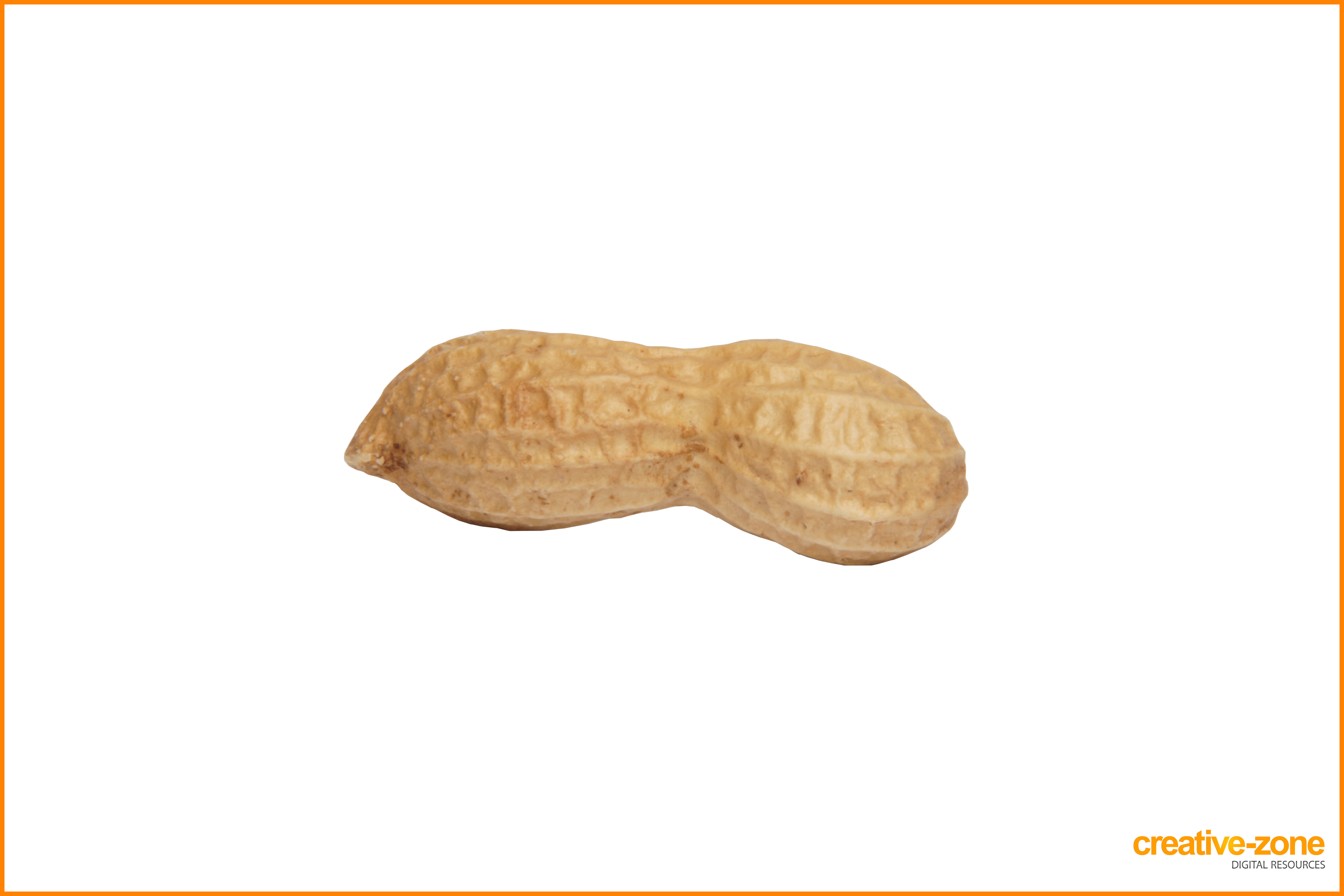 nuts clipart elephant peanut
