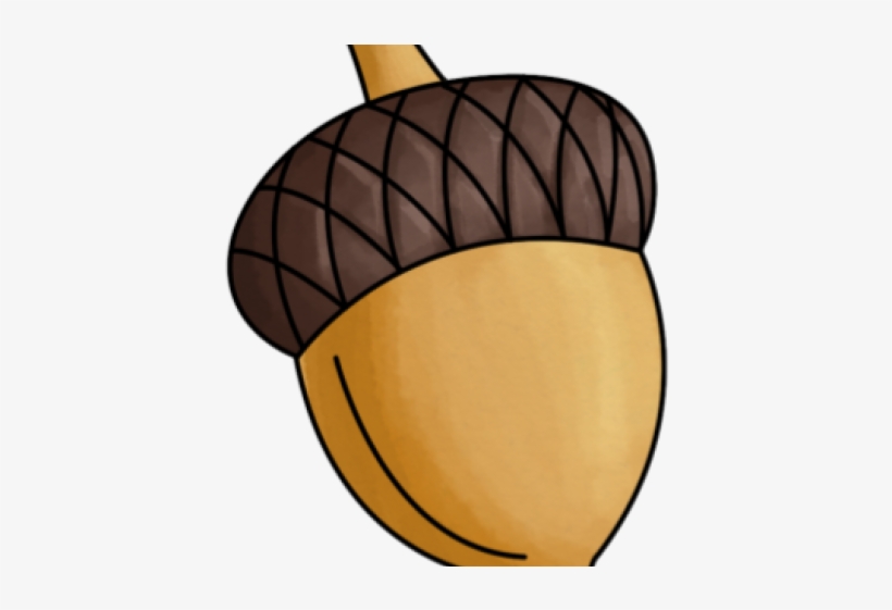 nuts clipart fall