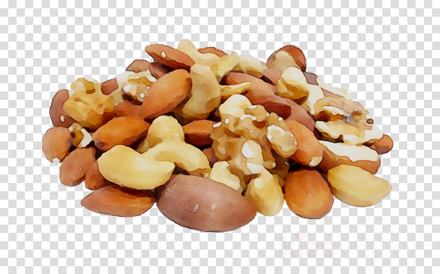 nuts clipart fatty