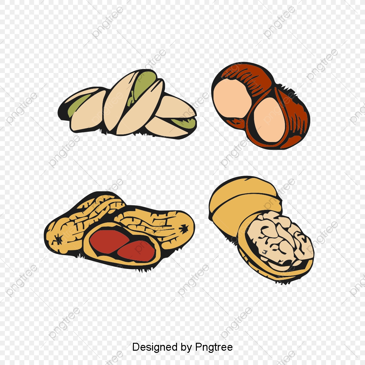 nuts clipart fresh