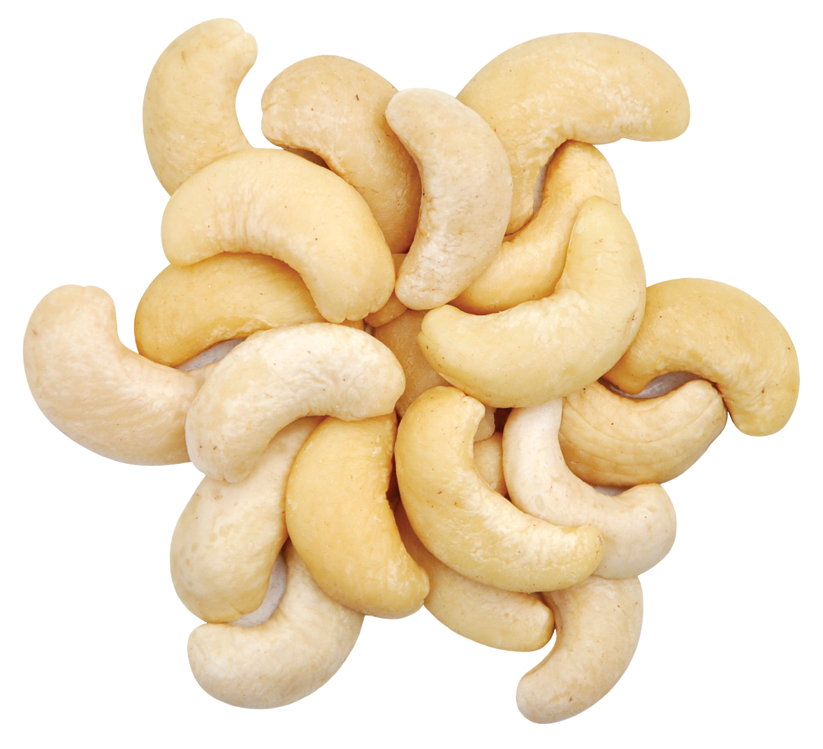 nuts clipart kasuy