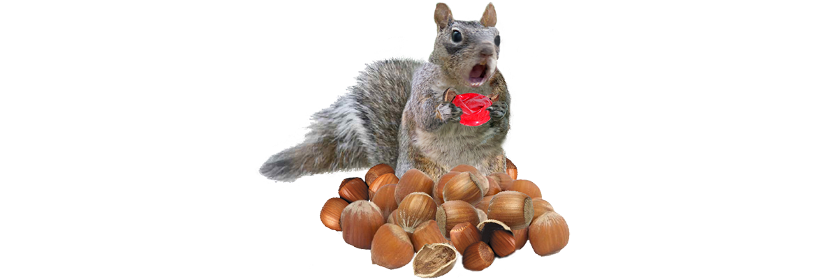 nuts clipart kasuy