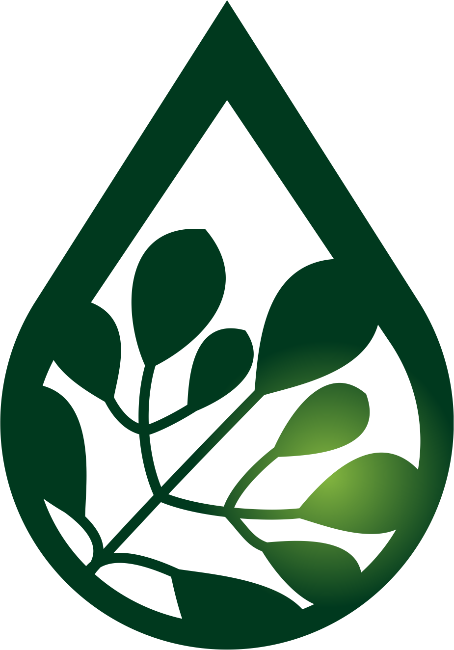 Mountain dew trees growth. Nuts clipart macadamia nut