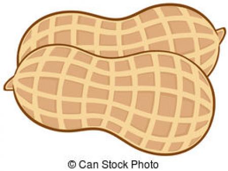 Peanut clipart nut. Free download on webstockreview
