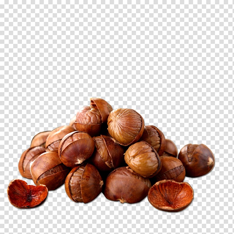 Nuts clipart pile. Of macadamia chinese chestnut
