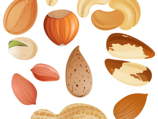 nuts clipart pile