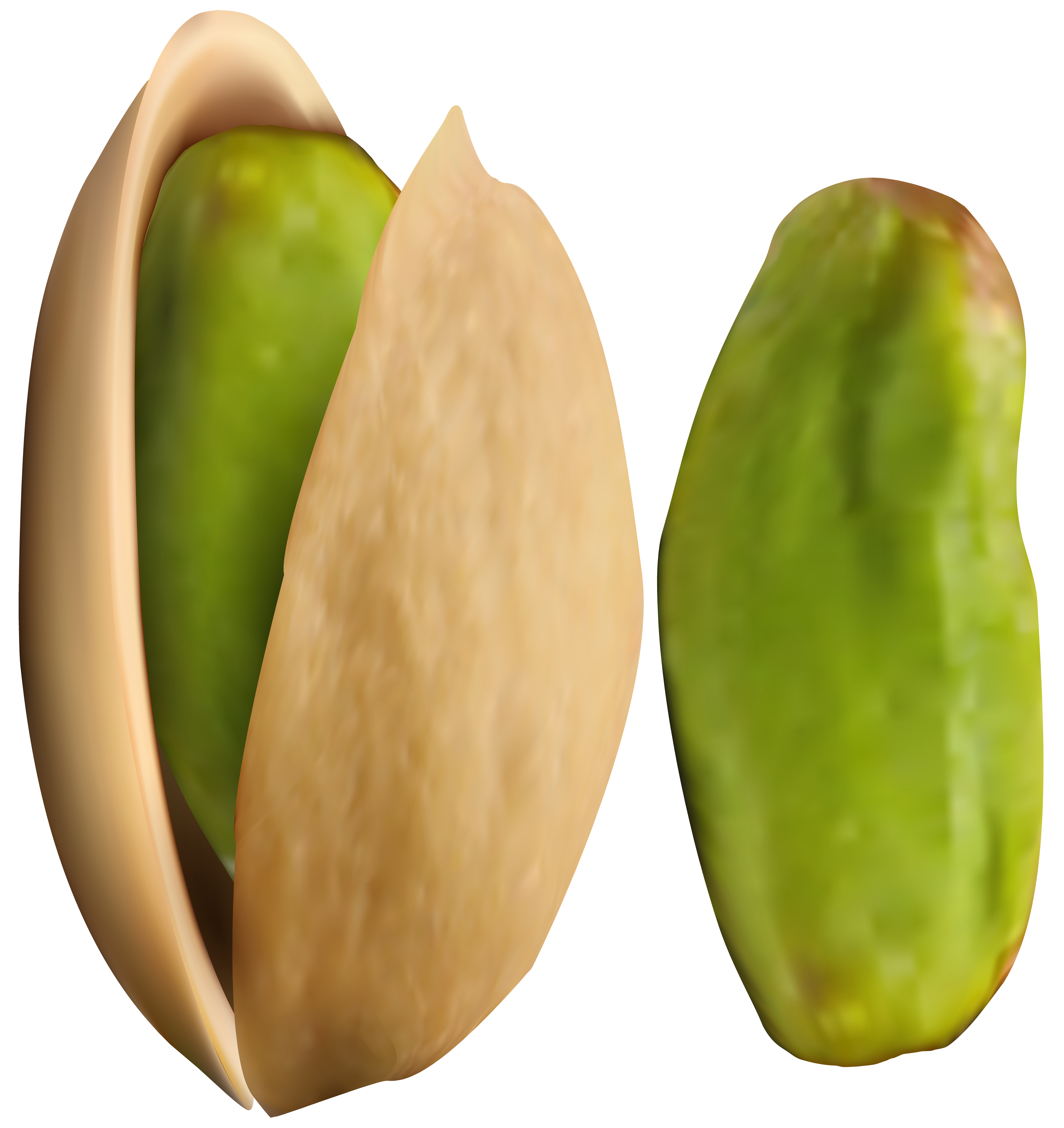 Transparent png clip art. Nuts clipart pistachio