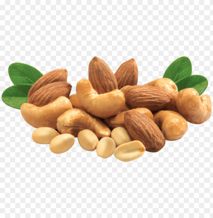 nuts clipart transparent background