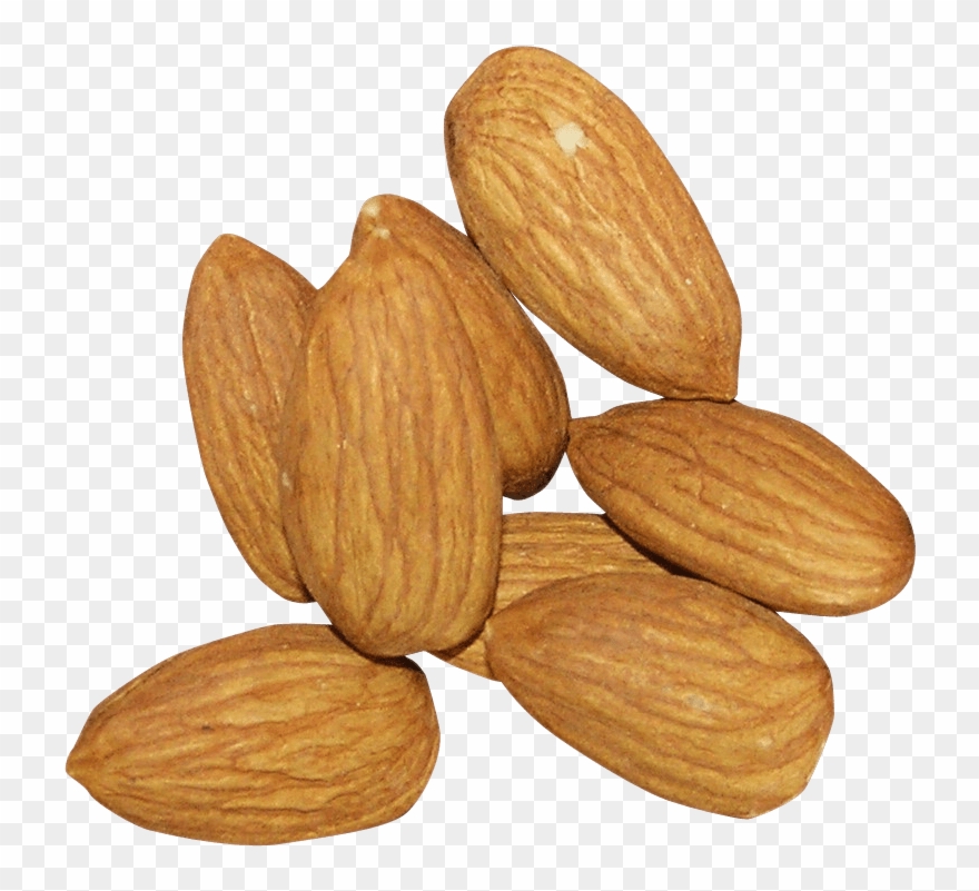 nuts clipart transparent background