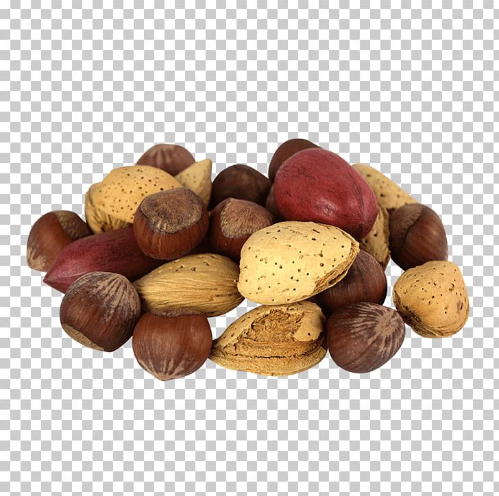 Hazelnut praline mixed allergy. Nuts clipart tree nut