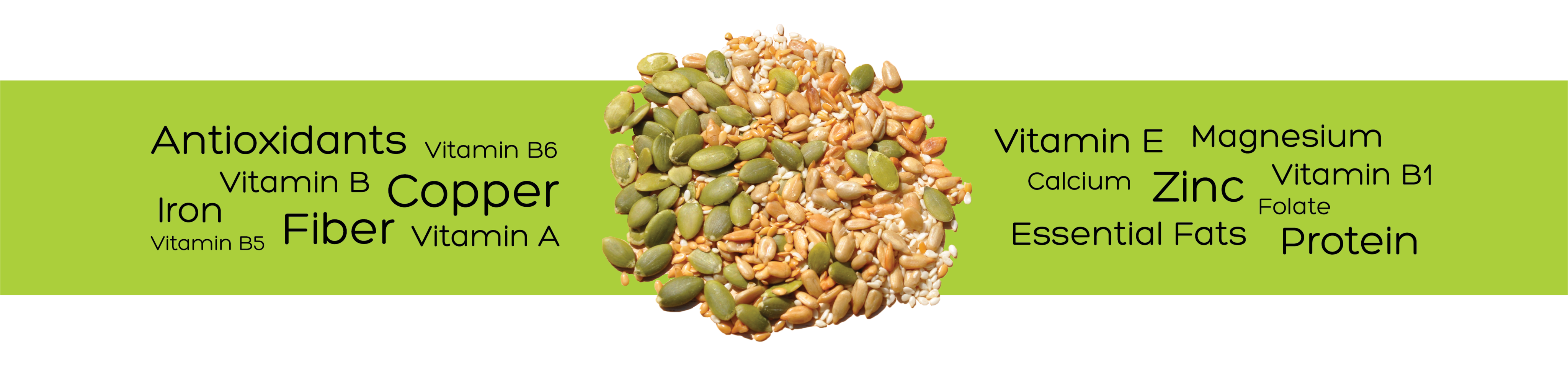 nuts clipart vitamin e