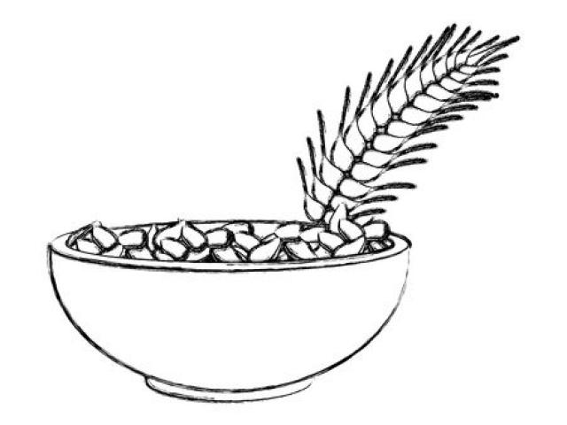 Free oat download clip. Oatmeal clipart bowl oatmeal