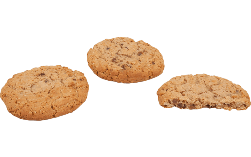 oatmeal clipart oatmeal cookie