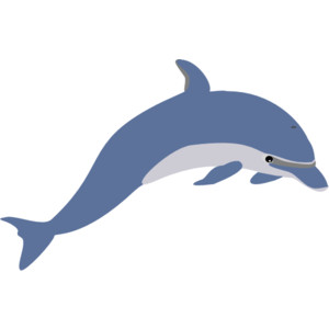 ocean clipart dolphin