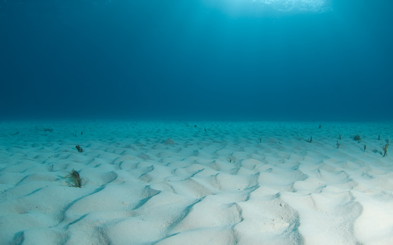 ocean clipart ocean environment