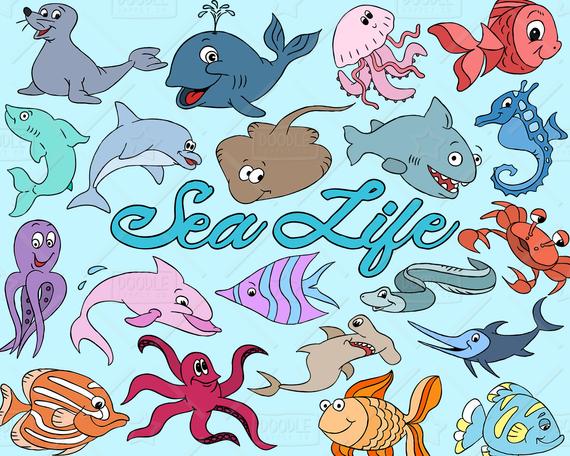 ocean clipart sea life