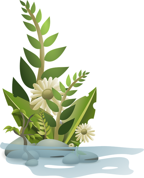 Nature lovin community plants. Ocean clipart vegetation