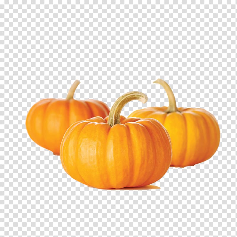 October clipart pumpkin muffin. Bread seed vegetable 