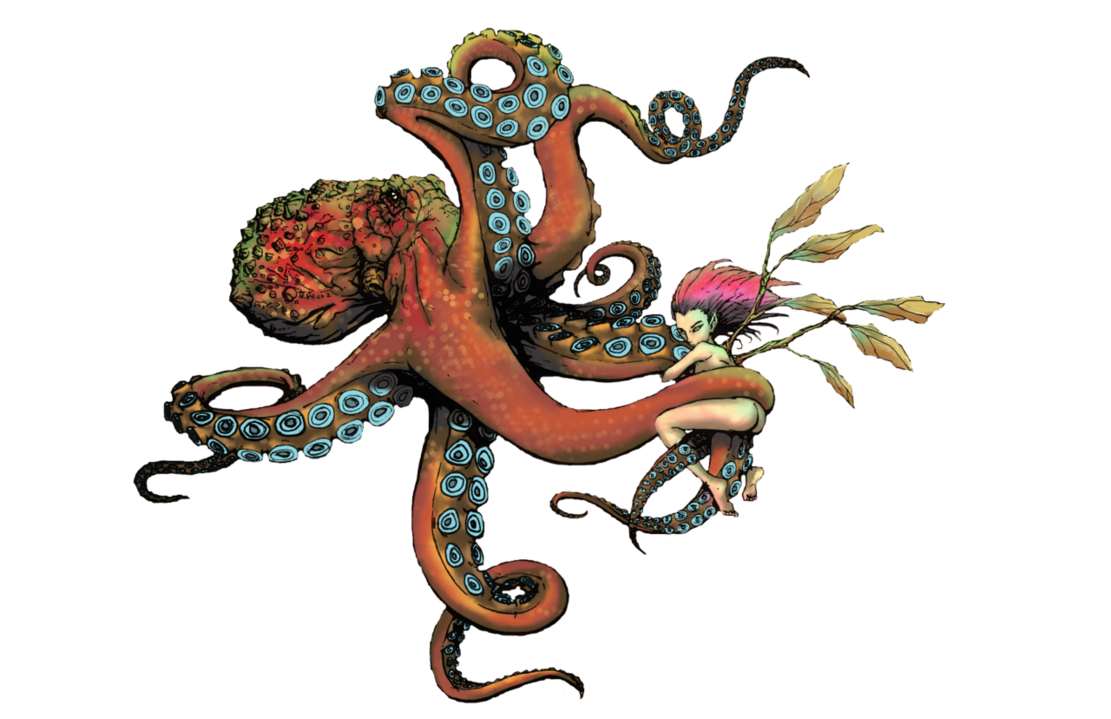Octopus arm