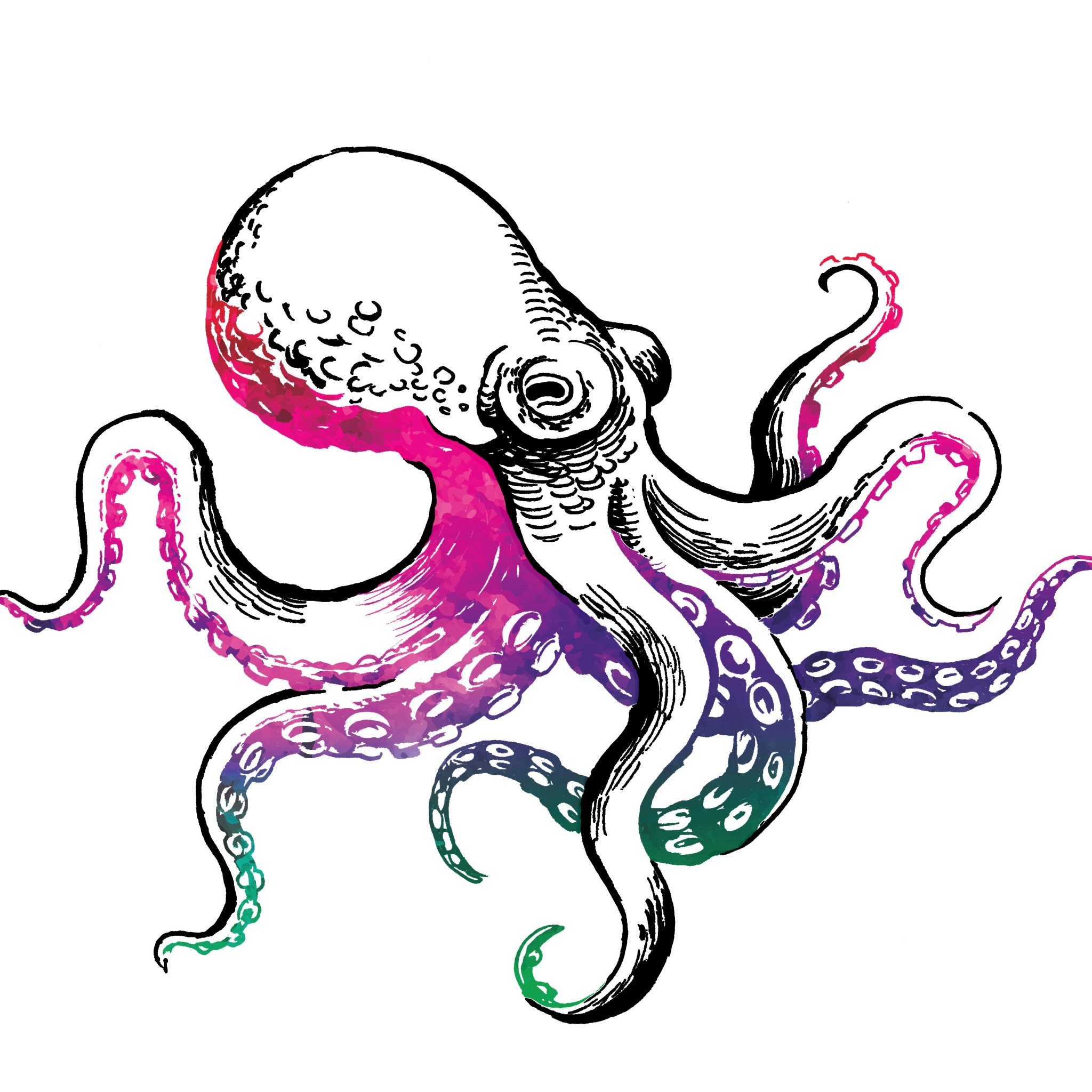 octopus clipart arm