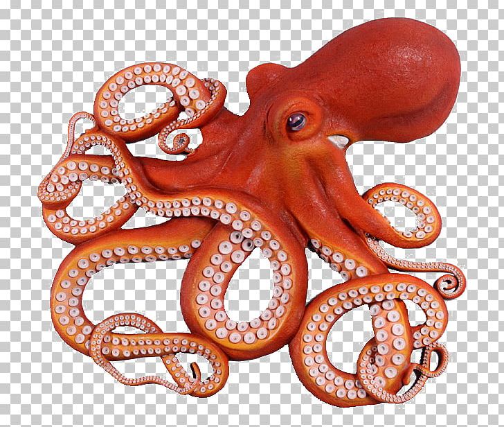 octopus clipart fish
