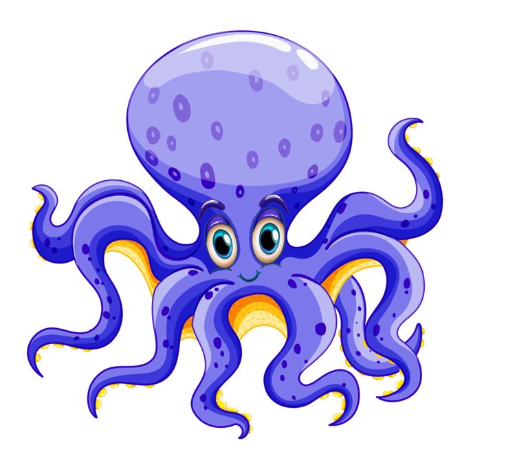 Free download best . Octopus clipart invertebrate