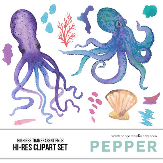 octopus clipart watercolor
