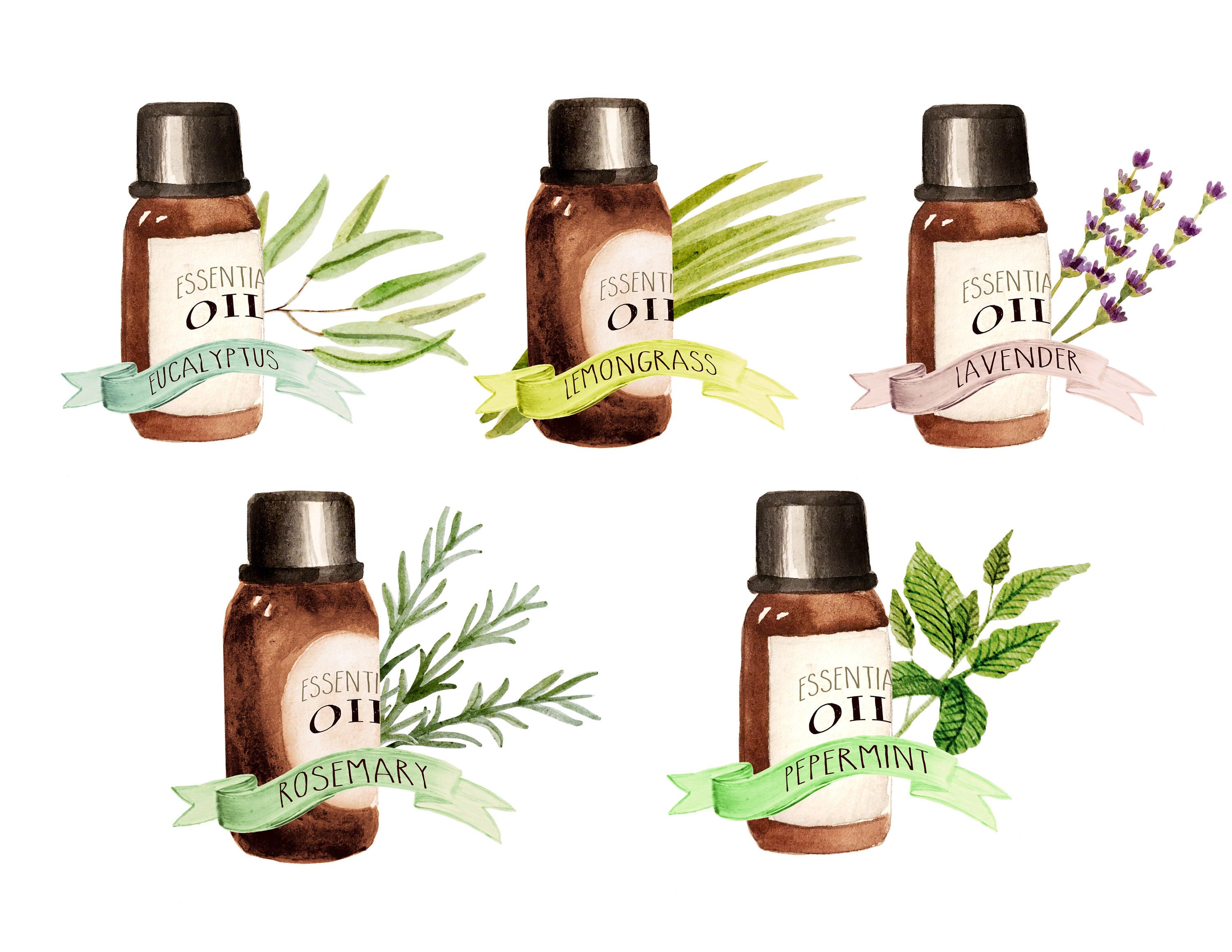 Oil clipart essential oil. Free oils cliparts download