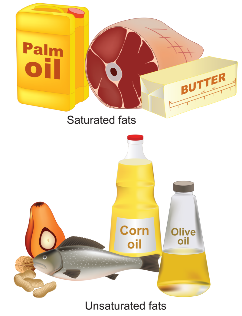 Why do we eat. Oil clipart fats oil